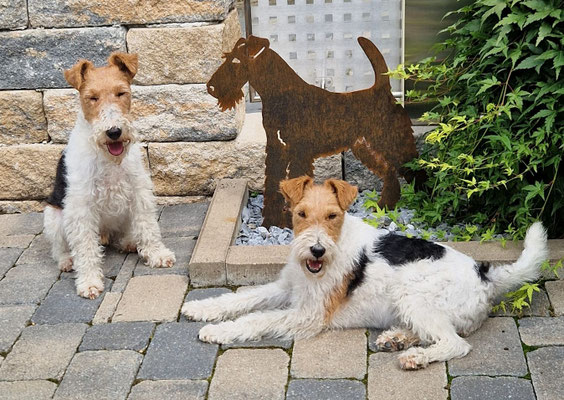 Kalle und Frieda