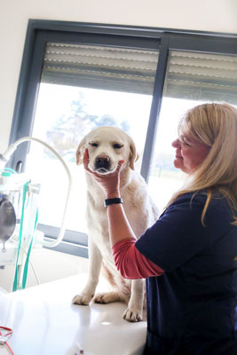 photographe-reportage-entreprise-Eure-Normandie