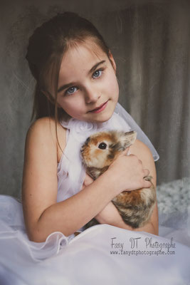 photographe-animaux-Eure-Normandie