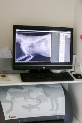 photographe-reportage-entreprise-Eure-Normandie