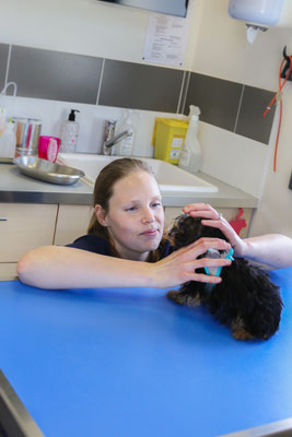 photographe-reportage-entreprise-Eure-Normandie