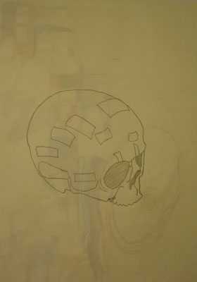 Sans titre, 2005, graphite sur papier, 50 x 65 cm