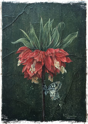 Fritillaire impériale et machaon, acrylique / acrylic