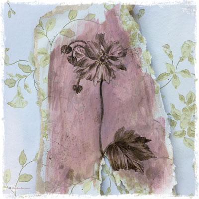 Anémone du Japon, encre sepia et acrylique sur lambeau de papier peint / sepia ink and acrylic on vintage wallpaper piece