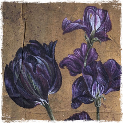 Tulipe et pois de senteur pourpres (détail), acrylique / acrylic