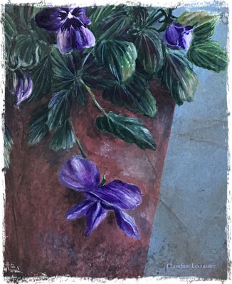 Viola Cornuta (détail), gouache, aquarelle, sepia et pastel sec / gouache, watercolor, sepia and dry pastel