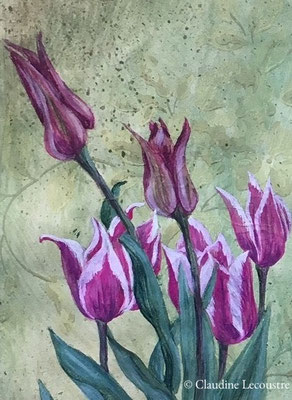 Bordure d'Avril (détail) / April mixed border (detail), étude, aquarelle et gouache /study, watercolor and gouache