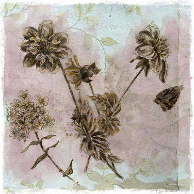 Dahlias collerette, phlox et papillon de nuit,  encre sepia et acrylique sur lambeau de papier peint / sepia ink and acrylic on vintage wallpaper piece