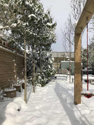 fresh snow