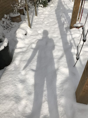 snow shadow