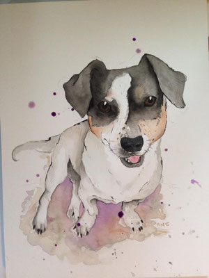 Hund in lockerer Aquarell-Tusche Technik