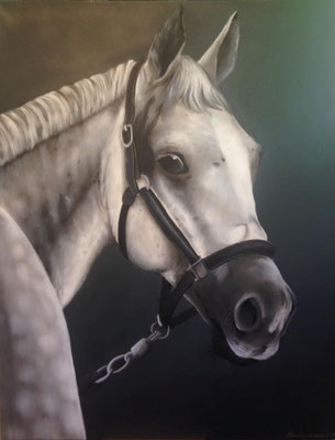 Pferd in Acryl und Airbrush auf Leinwand