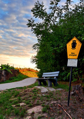 Goldkuppe im Naturschutzgebiet, Kunst- und Wanderweg