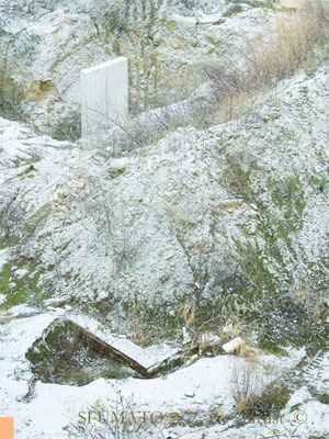 I F . 75 / 100 cm . Ed 5 + 2 AP . digital print auf Dibond 