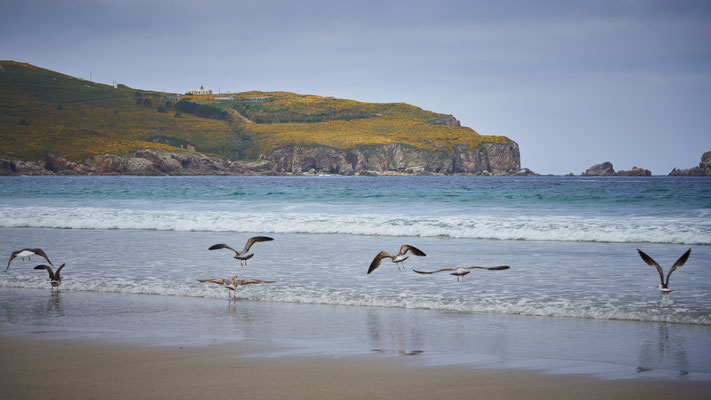 Praia de Santa Comba - Galicia, Spain