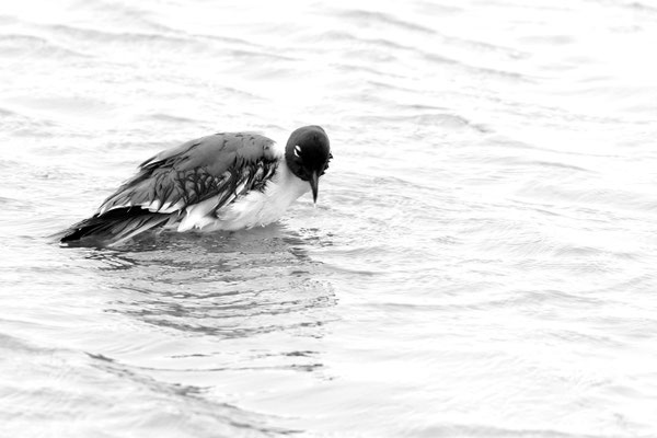 What a rainy day - South Padre Island Texas