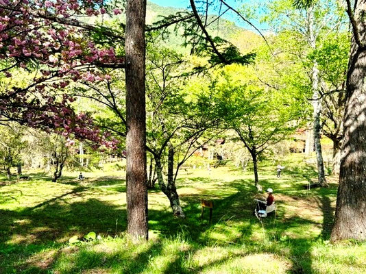 立原高原ビレッジでのスケッチ風景