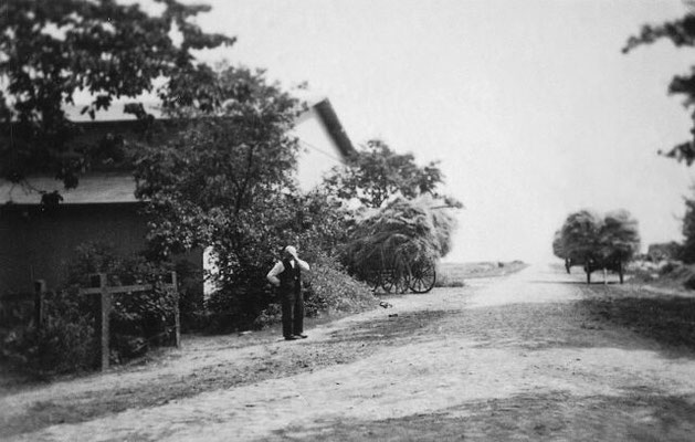 Bauer Poppe während der Erntebergung bei der Scheune an der Heidestraße in Kutenholz.