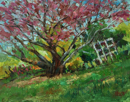 "The Last Old Cherry Tree" • Oil on board • 11" x 14'