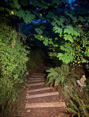 August 16, 2025. The view from the door window, looking back at the entrance steps.