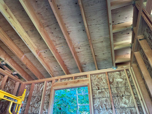 June 9, 2025. 3/4" plywood as brought up to the roof and secured with nails to the rafters. Time is now critical to place the final roofing material on top before the next rain!