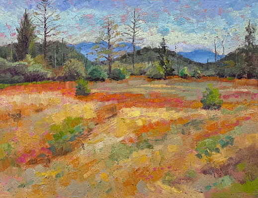 "Field of Dreams" • Oil on board • 11" x 14" • $300