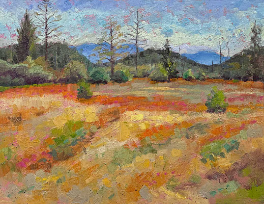 "Field of Dreams" • Oil on board • 11" x 14" • $300