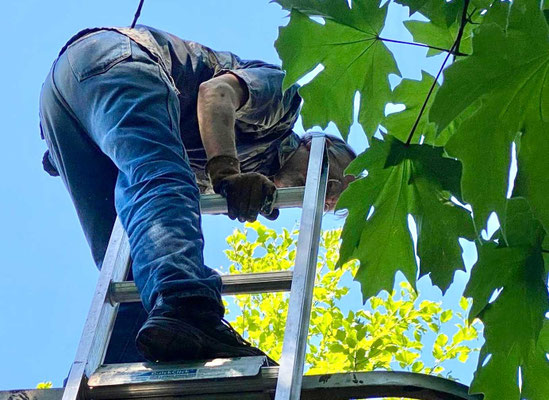 June 17, 2025. Me easing carefully down the ladder for the last time. The roof is done!
