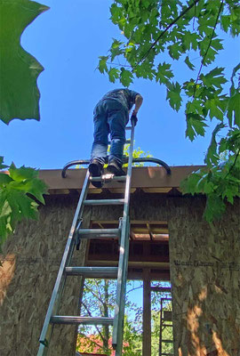 June 13, 2025. Lots of trips up and down the ladder at the top of the stairs. Slow and easy.
