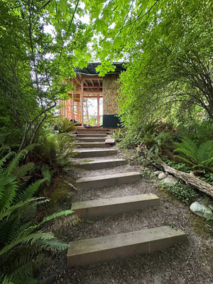 May 14, 2025. Steps leading up from the garden to the studio, where I began sheathing the second wall beside the doorway.
