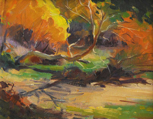 "Light and Shade" • Oil on board • 11" x 14" • $300