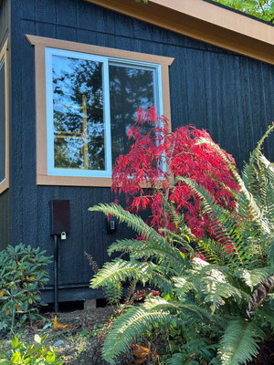 October 19, 2025. Autumn colors against the studio.
