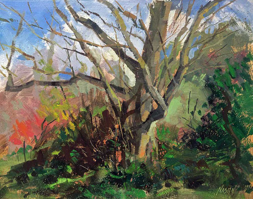 "The Old Tree" • Oil on board • 11" x 14" • $300