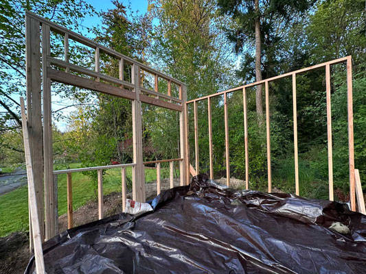 April 19, 2025. The second wall was simple (no windows) and light weight, so I was able to lift it into place myself. (Note the tarp, used to keep rain off the floor.)