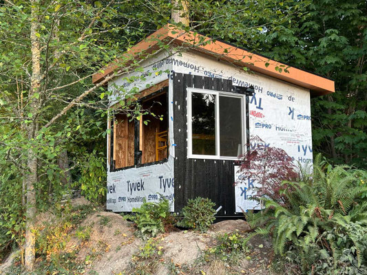 July 25, 2025. Painted LP Smart Siding being added to windowed wall. Precise measuring and cutting necessary. All screw and nail entry points are caulked and painted.