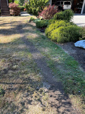 July 12, 2025. The trench filled-in with dirt. New grass will be planted on top at a later date.