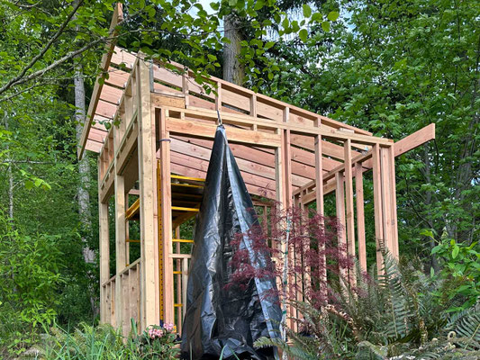 May 2, 2025. A view showing the large sub-fascia boards attached to the forward and rear ceiling joists. Lots of scaffold work. Note the rain tarp dangling from the side, which had to be placed on the roof before each rain.