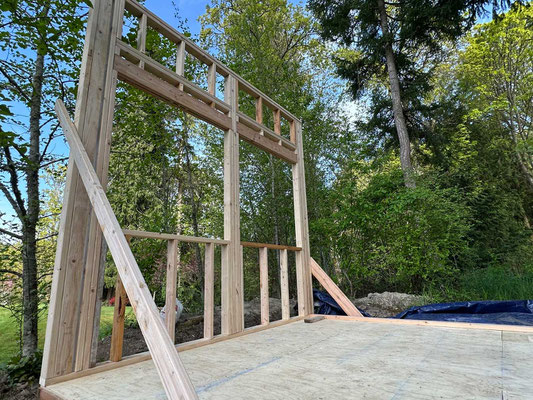 April 19, 2025. Yet another view of the first wall.