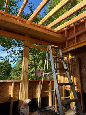 June 6, 2025. I removed the rain tarp just prior to beginning work on the roof.