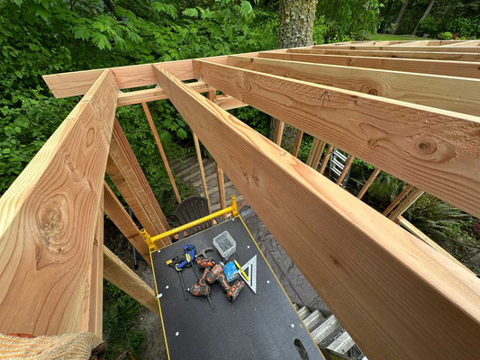 May 7, 2025. The ceiling joists and sub-facia as seen from above.