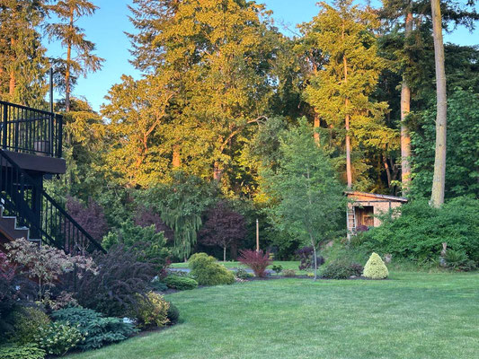 May 27, 2025. Showing the garden studio location on our property.