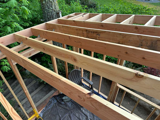 May 8, 2025. Completed roof framing as seen from above.