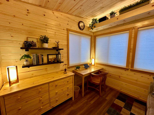 February 3, 2026. Added Bluetooth speakers and plant decor to the upper shelf.