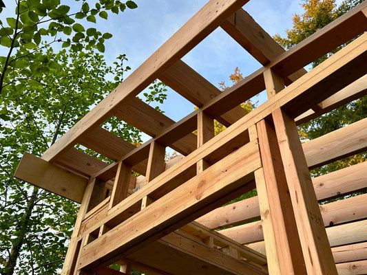 May 5, 2025. Exterior view of the "ladder" created for the side wall roof overhang, perpendicular to the ceiling joists.