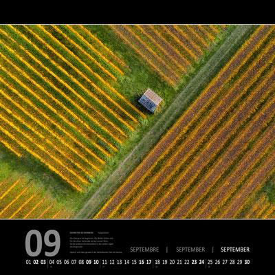 Kalender 2023 - Geometrie im Weinberg