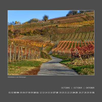 Herbstfarben in den Weinbergen