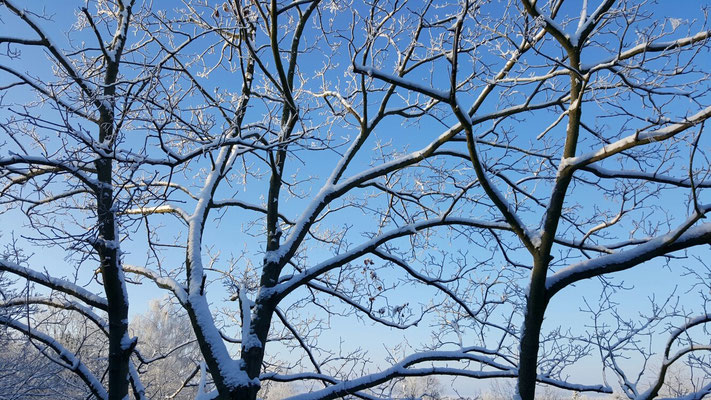 Januar 2016
