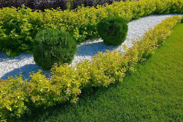 Dieser Garten sticht durch seine Bescheidenheit hervor