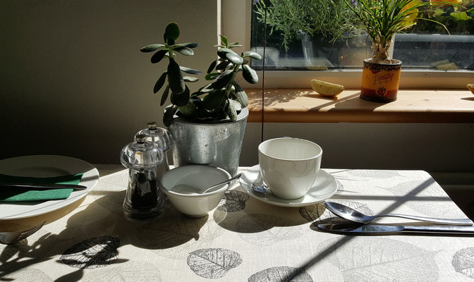 Hillside Lodge - Clifden, Connemara, Galway County, Ireland - breakfast table with sun