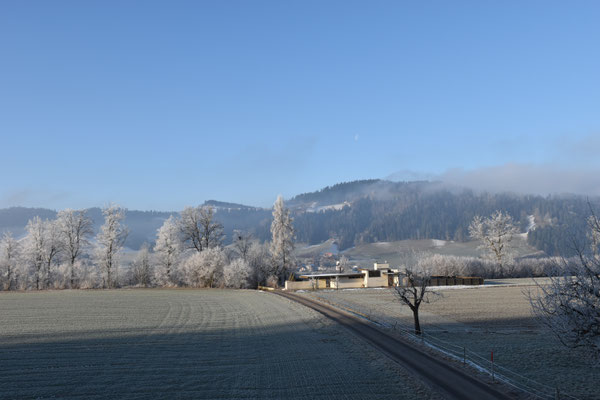 Aussicht Wohnung